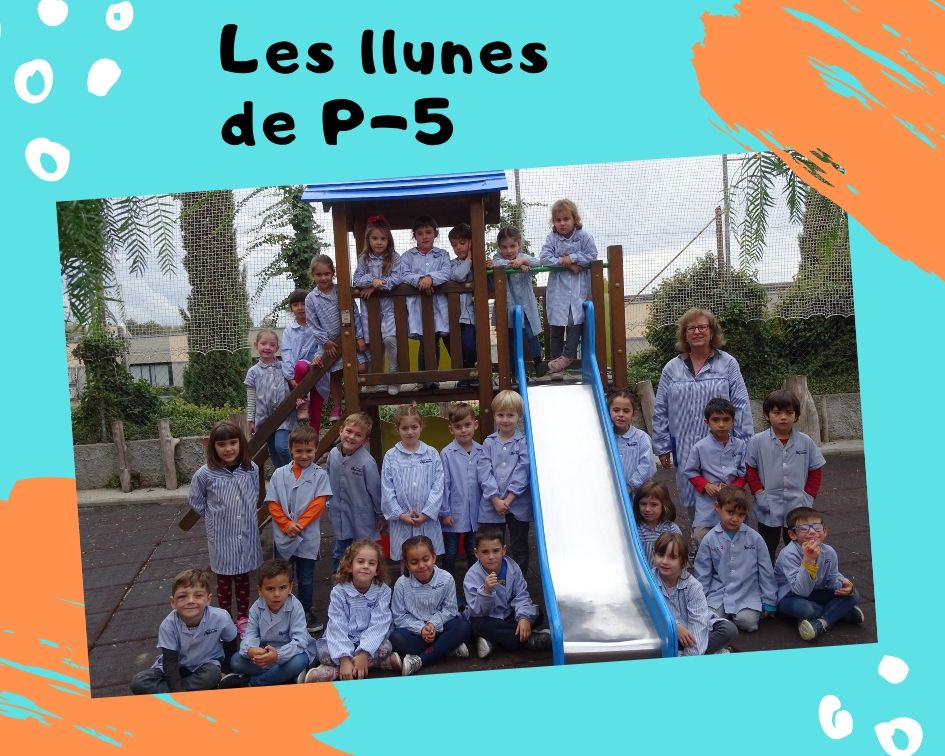 P 5 inici curs