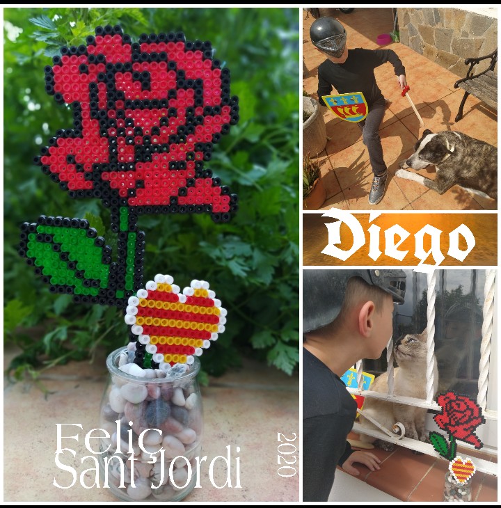 DIEGO SANT JORDI