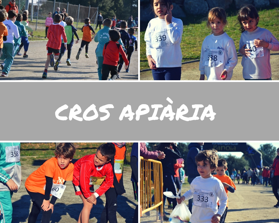 cros apiària