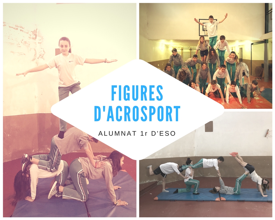 figures dacrosport