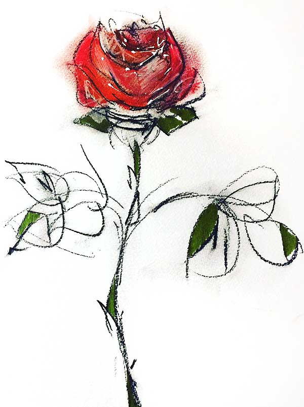 rosas 01